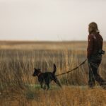 3 Accessories for Long Dog Walks | Zerxza