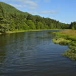 How California Rural Residents Are Benefitting from Virtual IOP for Mental Health - Social Lifestyle Magazine