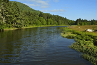 How California Rural Residents Are Benefitting from Virtual IOP for Mental Health - Social Lifestyle Magazine