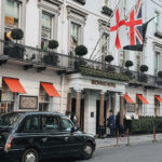 The Weekly Edit - wit & whimsy