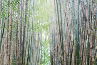 Minimal Wardrobe Staples: How to Style Fleece - Hej Doll | Simple modern living by Jessica Doll.