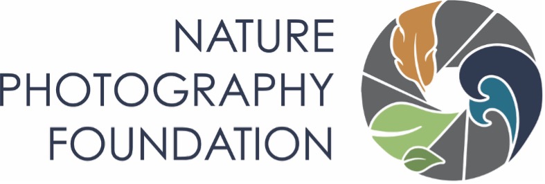 Press Release: The Nature Photography Foundation Announces 2025 Philip Hyde Grantees - NANPA