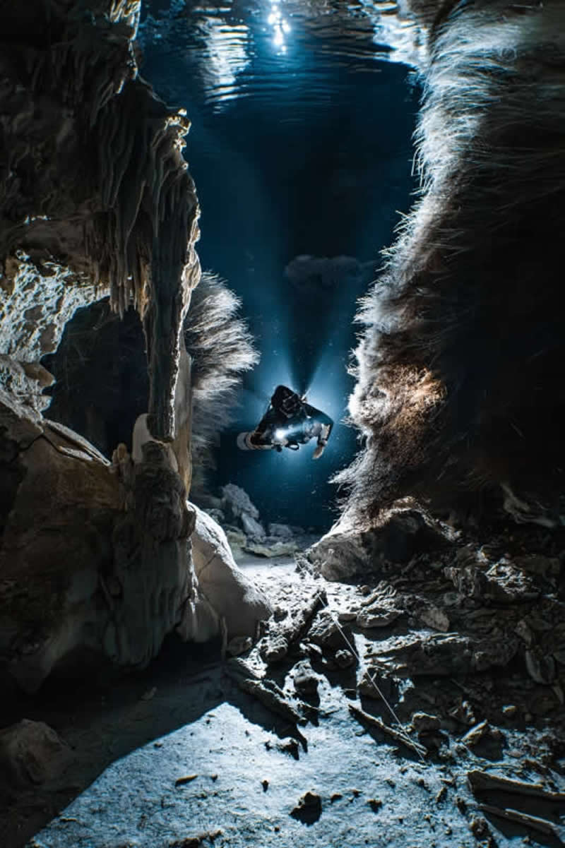 Compact - Gold: Tree of Life by Manuel Wüthrich, Switzerland, Location: Cenote Dos Pisos, Mexico - 2025 DPG Masters Underwater Imaging Competition Winners