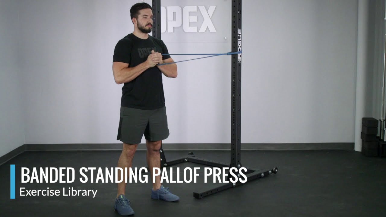 Standing Pallof Press with Band – OPEX Exercise Library – YouTube