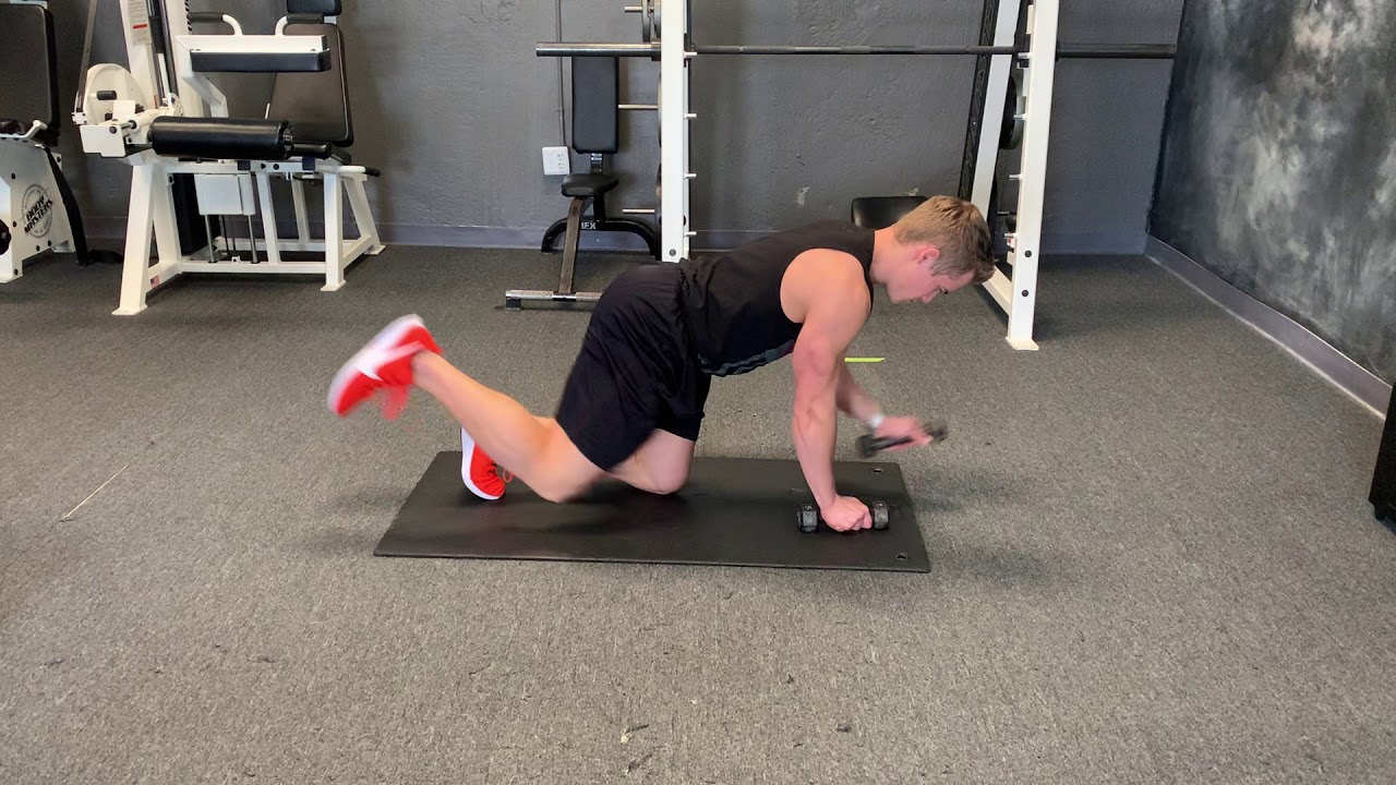 Demonstration of exercises with a dog and a bird with dumbbells – YouTube