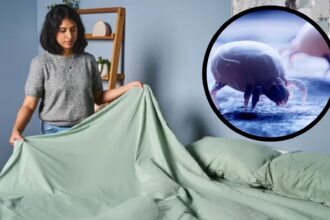 A woman inspects her sage-colored bed sheets. In the top right foreground, a circular frame shows an extreme close up of dust mites embedded in the fabric of a mattress cover.