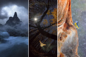 2026 Memorial Maria Luisa Awards: Best Mountain & Nature Photos Revealed