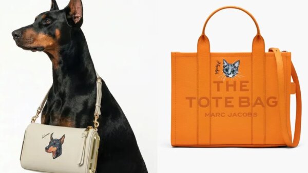 dobermann posing with a marc jacobs handbag around its neck, which bears an illustration of the dog itself; orange marc jacobs the tote bag with custom cat portrait on it