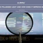 Become a Light Whisperer with these 4 Free Guides | Contrastly