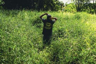 Best new arrivals from the Roark Spring/Summer 26 Collection | The Coolector