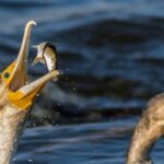 Canon Photography Training Milnerton, Cape Town