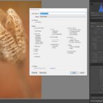 How to Create Your Own Lightroom Presets (Step By Step)