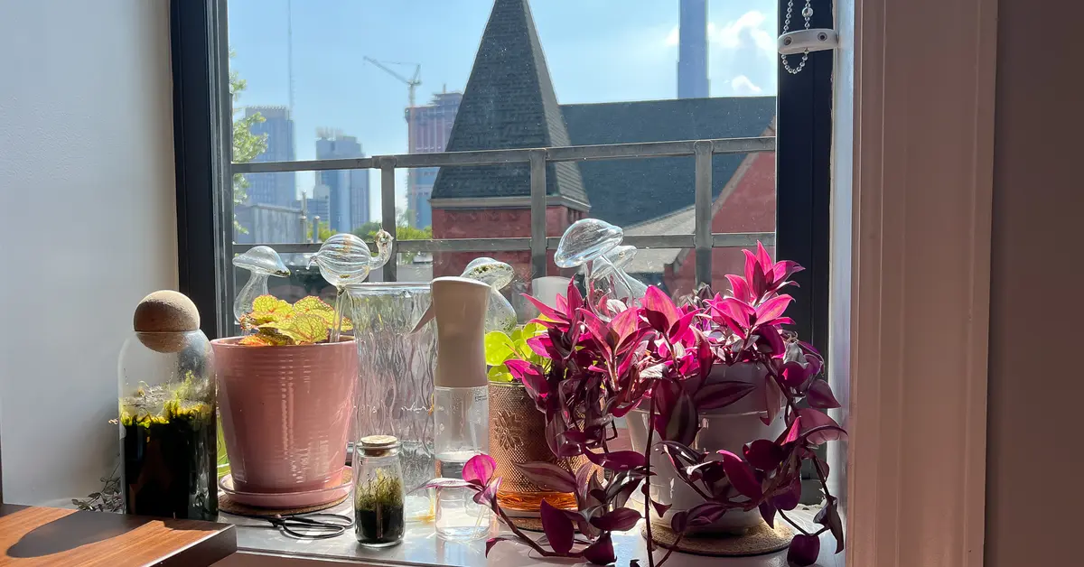 How to wash windows, glass and mirrors