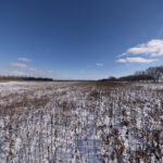 Intentional distortion correction isn’t as bad as you think.