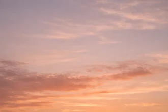 Sunrise at Pahayokee Overlook in Everglades National Park, featuring silhouetted trees and the River of Grass.