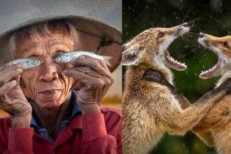 The Wonderful Winners of the LCE Photography of the Year Competition