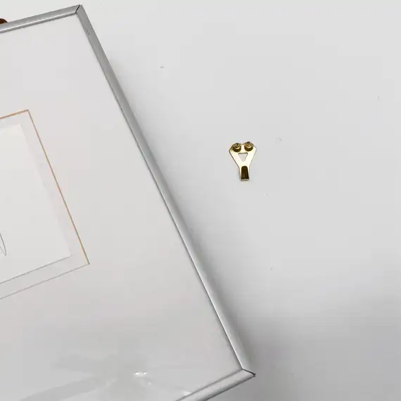 Professional Ook picture hanger screwed to the wall.