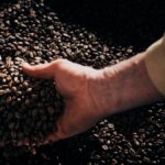 handful of coffee beans in giant vat