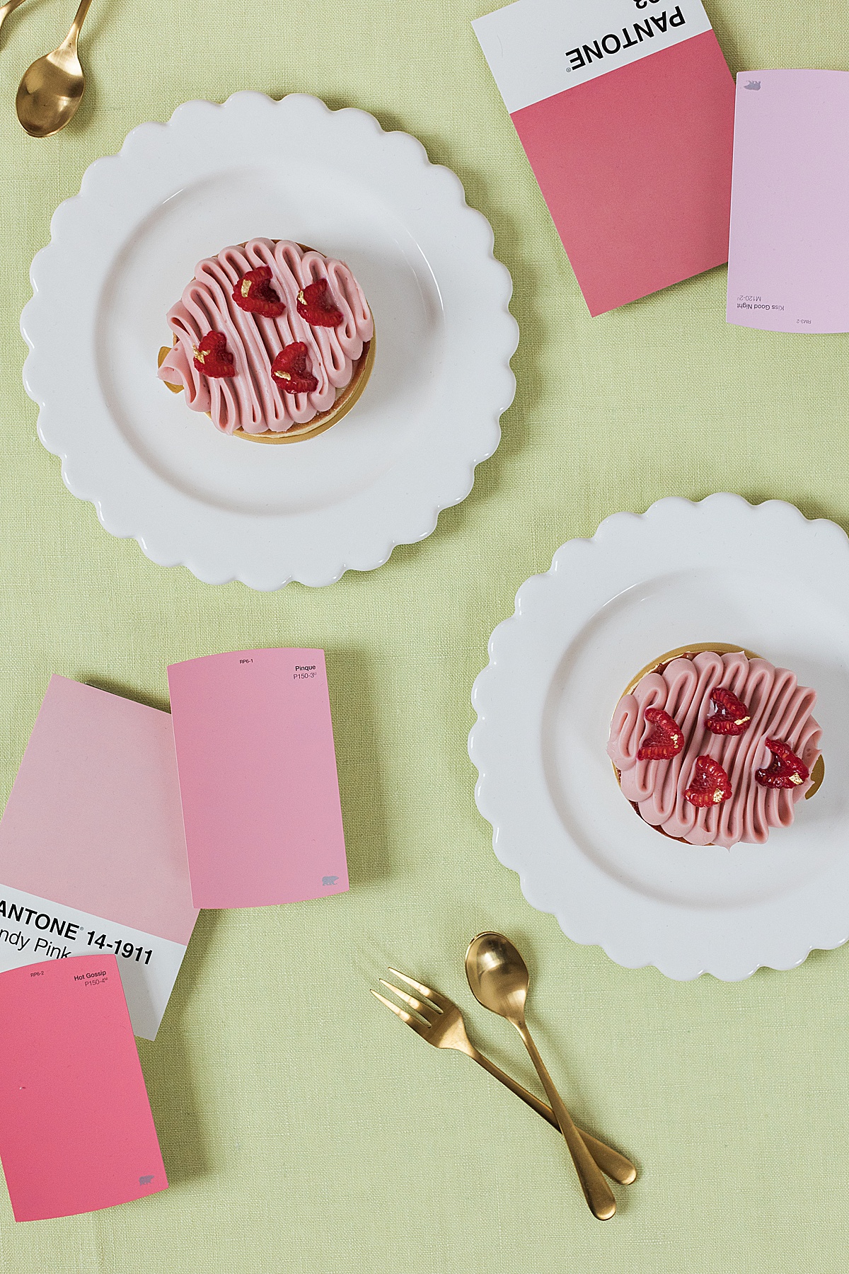 Digital Cravings Brand & Web Studio | Brand photos by Abby Grace Photography