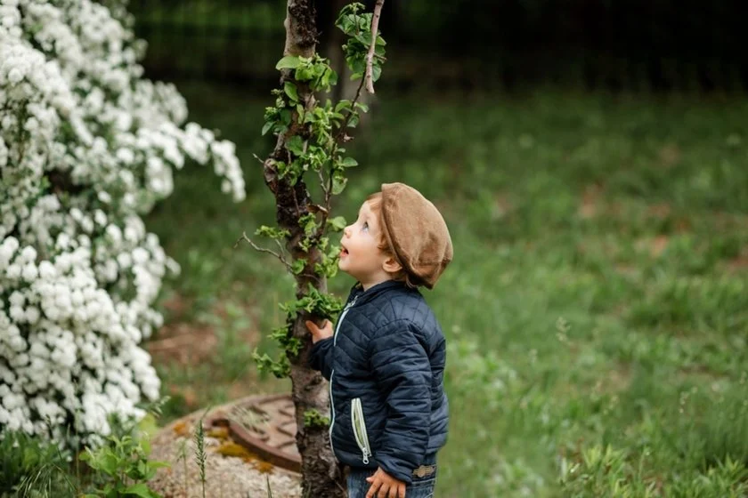 A surprised toddler looks at a spring tree | Skylum Blog