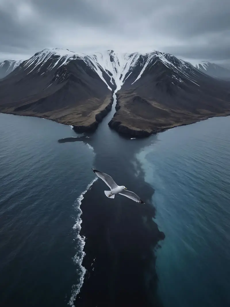 Seabird flying over dramatic fjord and snow-covered mountains in South Georgia, photographed by wildlife and nature photographer Christian Hartmann above the Southern Ocean polar landscape.
