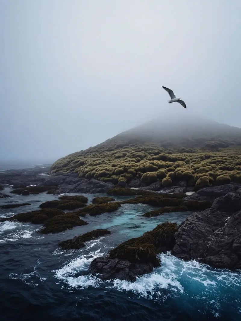 Seabird flying over misty rocky coastline with kelp and ocean waves in South Georgia, photographed by nature and wildlife photographer Christian Hartmann in the Southern Ocean polar landscape.