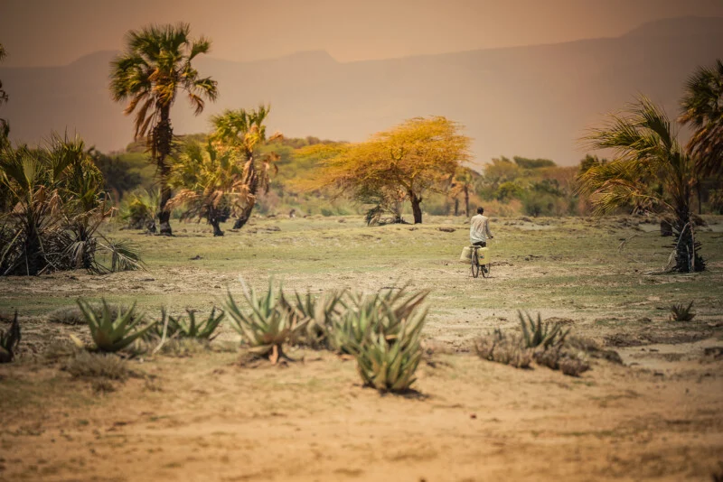 A person rides a bicycle across a dry, grassy landscape with scattered palm trees and shrubs, under a hazy sky with distant mountains in the background.