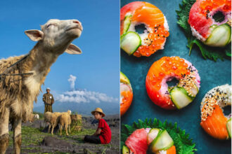 Feast for the Eyes: 35 Shortlisted Photos from the 2026 Food Photography Awards