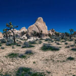Joshua Tree Panoramas: My Night Sky Stitching Process | Fstoppers