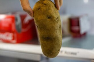 Keep These 11 Foods Out of the Freezer at All Costs