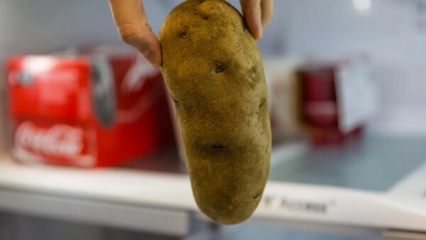 Keep These 11 Foods Out of the Freezer at All Costs