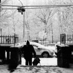 An image of a snowy day in New York City. The subject is a silhouette of a man walking up stairs. In the background, snow covered trees and cars are visible. In the foreground, falling snow and walls frame the subject.